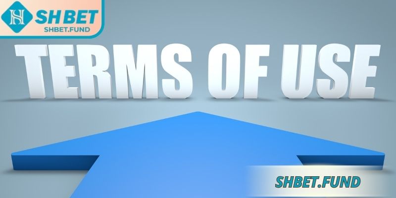 Thông tin chi tiết trong điều khoản sử dụng SHbet 
