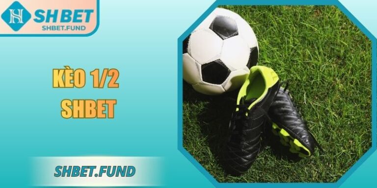 Kèo 1/2 SHbet - Kiến Thức Nền Tảng Và Bí Kíp Tối Ưu 1 Kèo 1/2 SHbet