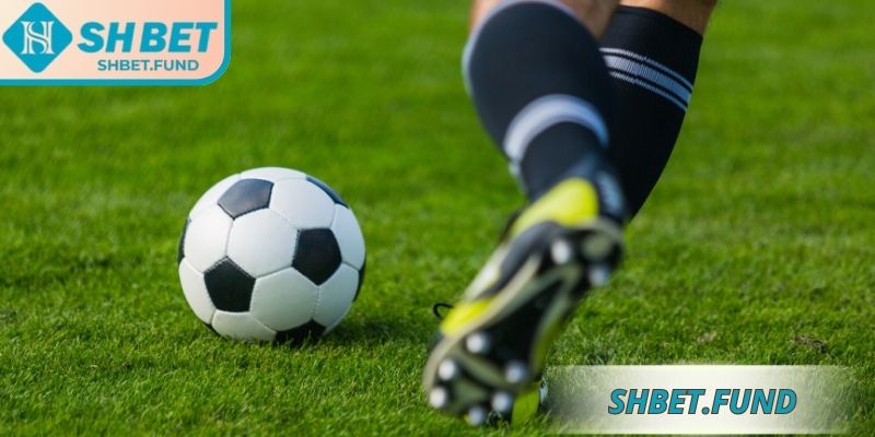 Thông tin tổng quan về kèo 1x2 SHbet 
