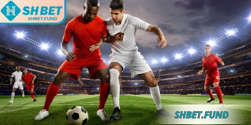 Giới thiệu kèo Châu Âu SHbet
