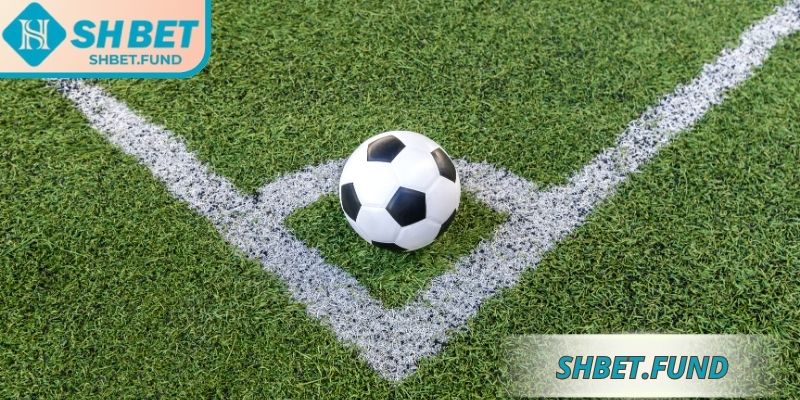 Kèo Góc SHbet Với Phân Tích Chi Tiết Cho Người Mới 1 Giới thiệu kèo góc SHbet