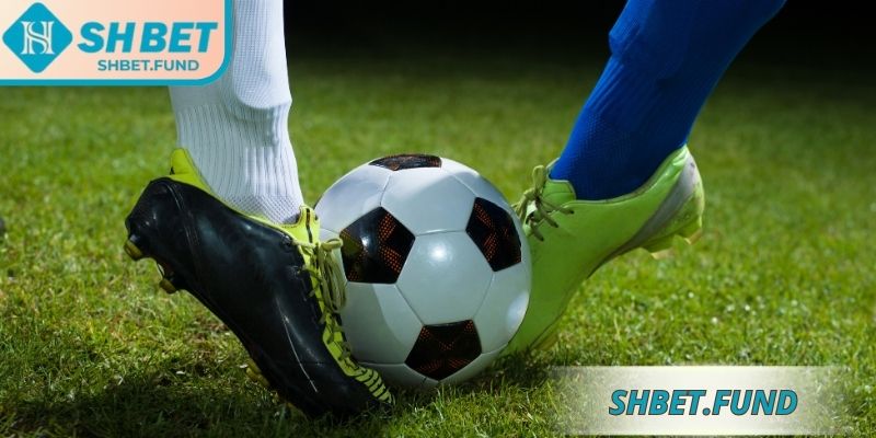 Kèo Handicap SHbet: Bí Quyết Đánh Giá Chuẩn Xác Nhất 2 Kèo handicap đồng banh (0)