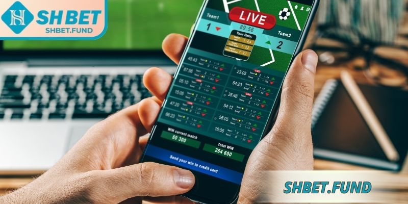 Top kèo nhà cái phổ biến tại nhà cái được hội viên yêu thích