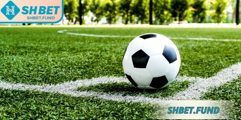 Một số hình thức kèo sớm SHbet phổ biến