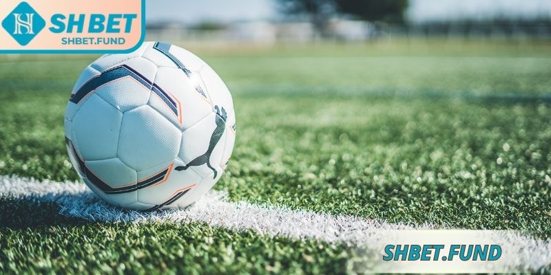 Thông tin khái quát về kèo sớm SHbet 
