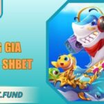 Vương gia đánh cá SHbet