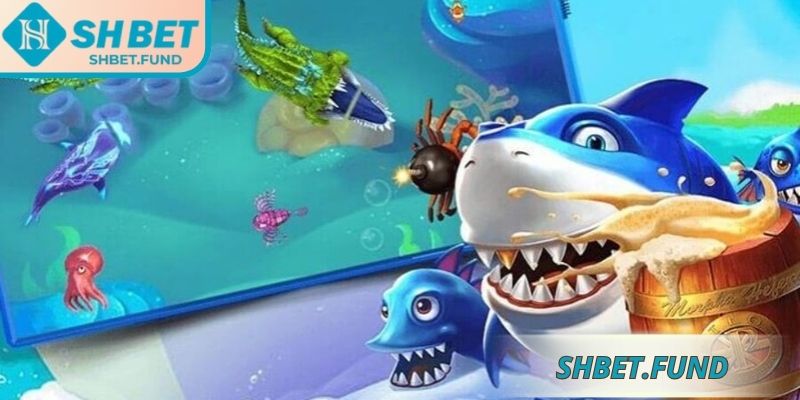 Khám phá điểm mạnh nổi bật giúp trải nghiệm hấp dẫn và hiệu quả

