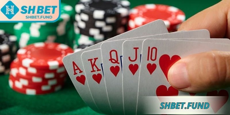 Xì Tố SHbet: Luật Chơi, Chiến Thuật Và Kinh Nghiệm Quan Trọng 2 Xì tố SHbet hướng dẫn phân tích bài trên tay, chọn bước đi đúng đắn
